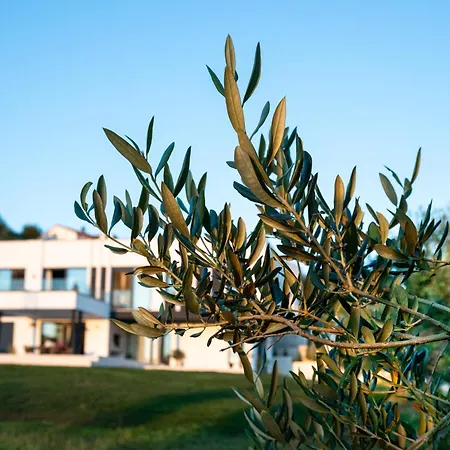 Villa Dida Sime Ražanac